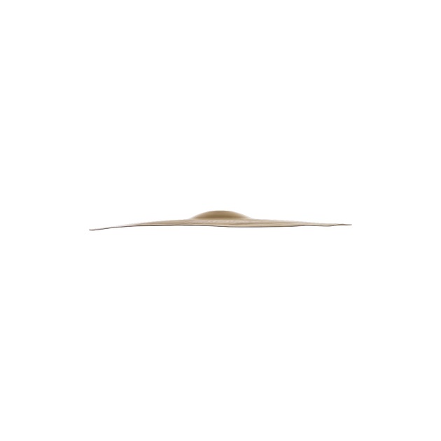 Zildjian 20 FX Oriental Crash of Doom Online price in India