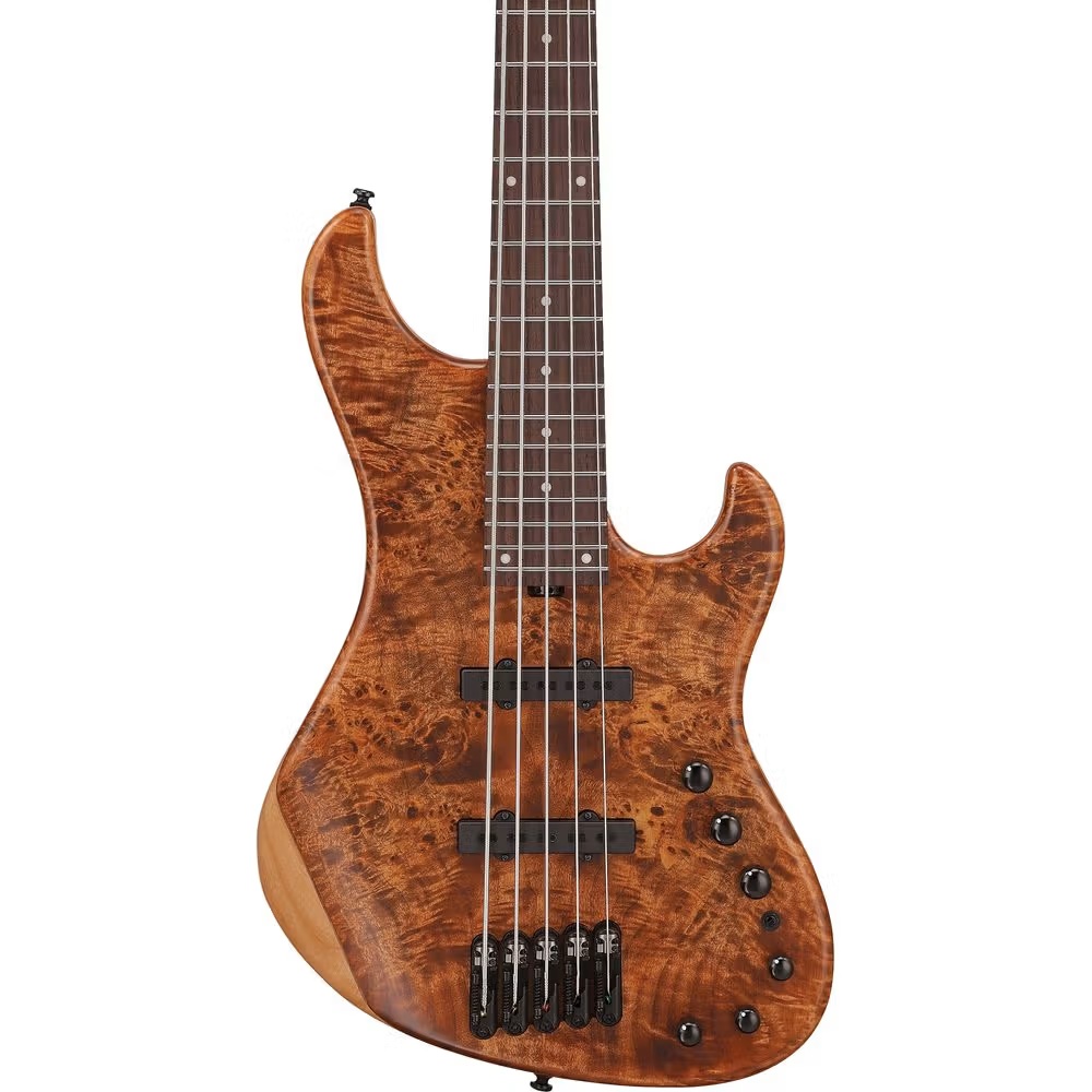 Ibanez MDM Series 5 string Bass Guitar MDM1605 NML online in India at johnsmusicin at the lowest price Online price in India