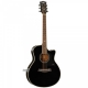 Kepma A1C Pro Acoustic Guitar Glossy - Black