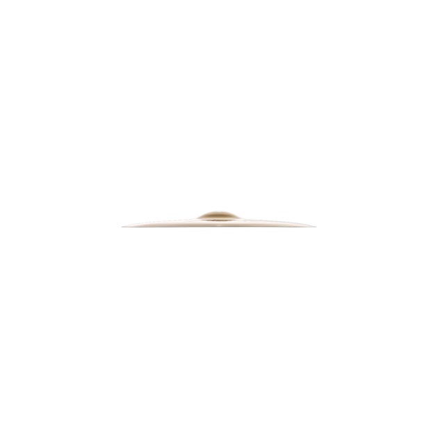 Zildjian 15 A Custom Crash Online price in India
