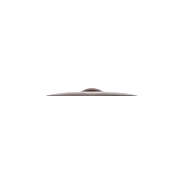 Zildjian 15 A Avedis HiHats Top Online price in India