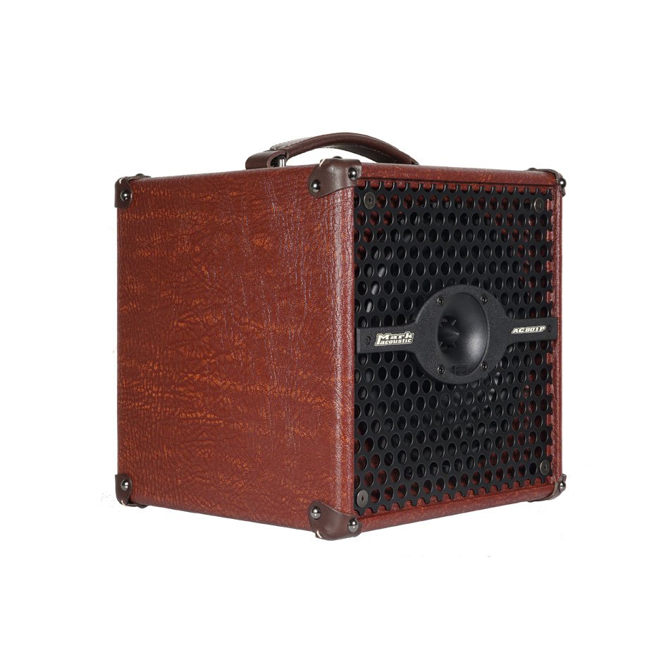DV Mark AC 801P 50W Acoustic Combo