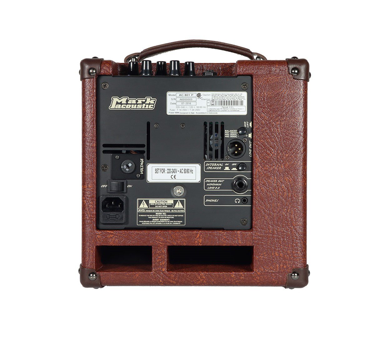 DV Mark AC 801P 50W Acoustic Combo