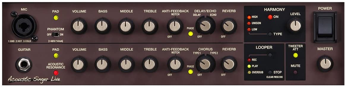 Boss Acoustic Singer Live 60-watt Bi-amp Acoustic Combo with FX