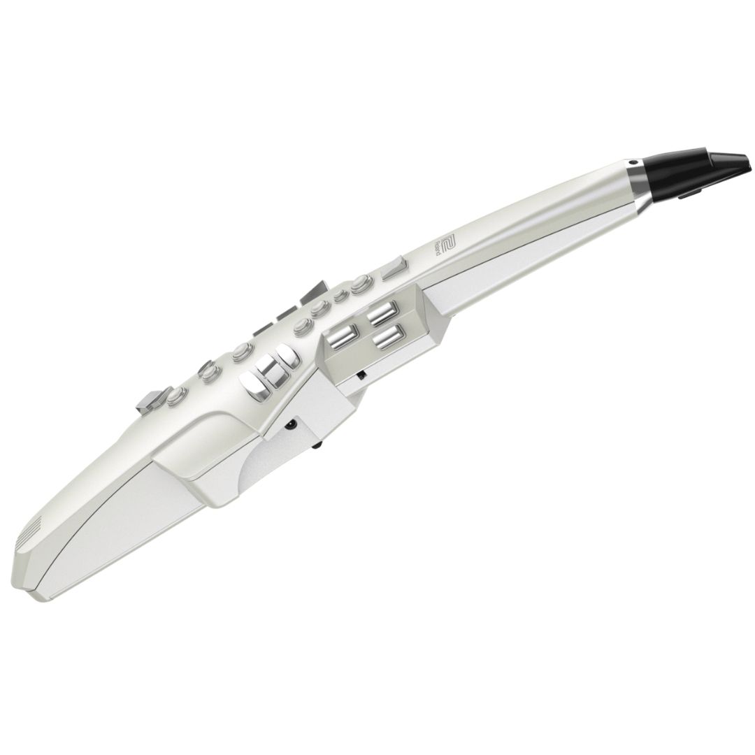Roland AE10 online price in India