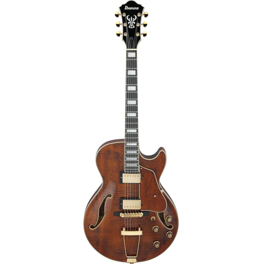 Ibanez AG95MG Electric Guitar online in India at johnsmusicin at the lowest price Online price in India