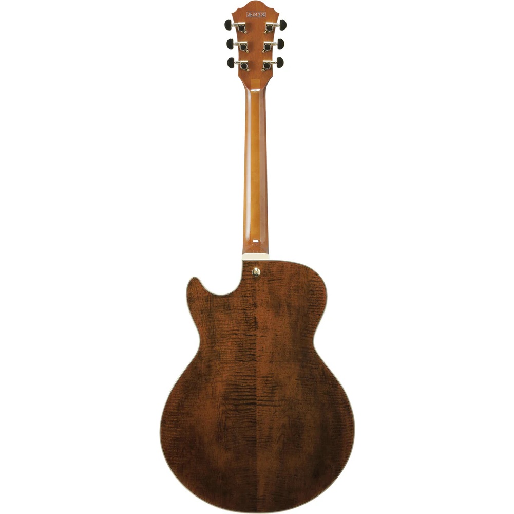 Ibanez AG95MG Electric Guitar online in India at johnsmusicin at the lowest price Online price in India