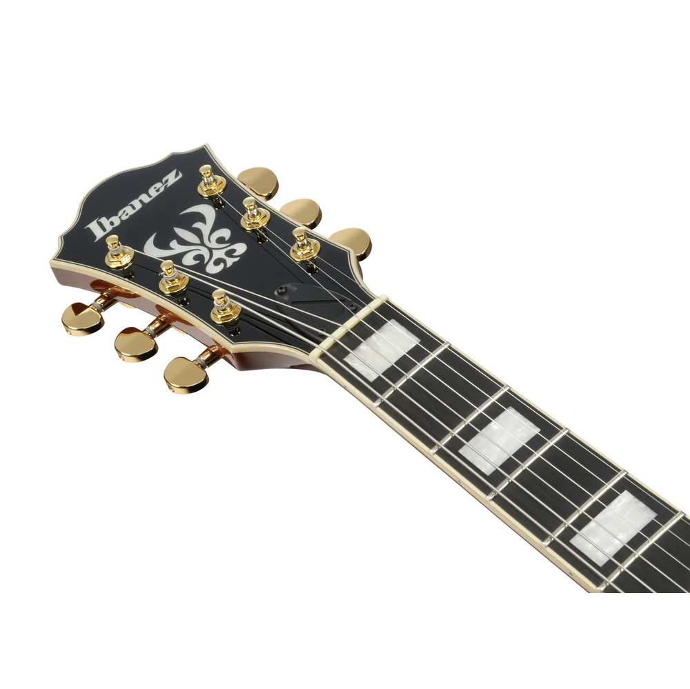 Ibanez AG95MG Electric Guitar online in India at johnsmusicin at the lowest price Online price in India