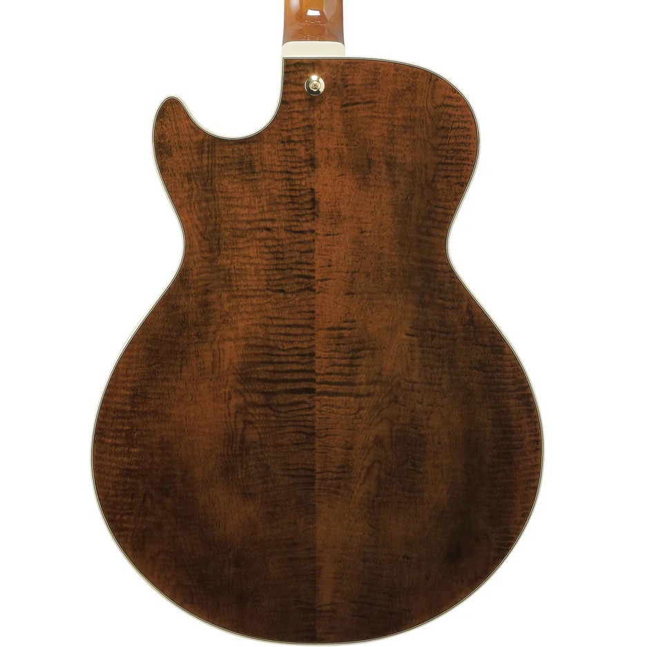 Ibanez AG95MG Electric Guitar online in India at johnsmusicin at the lowest price Online price in India