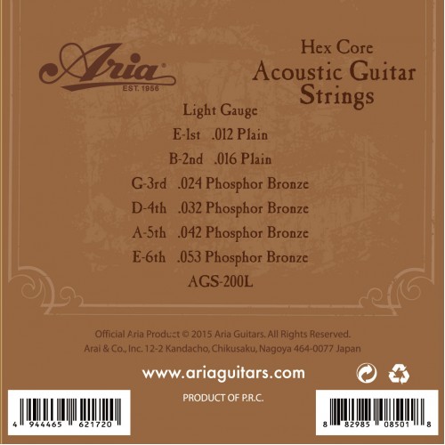 Aria AGS 200L For Acoustic Guitars