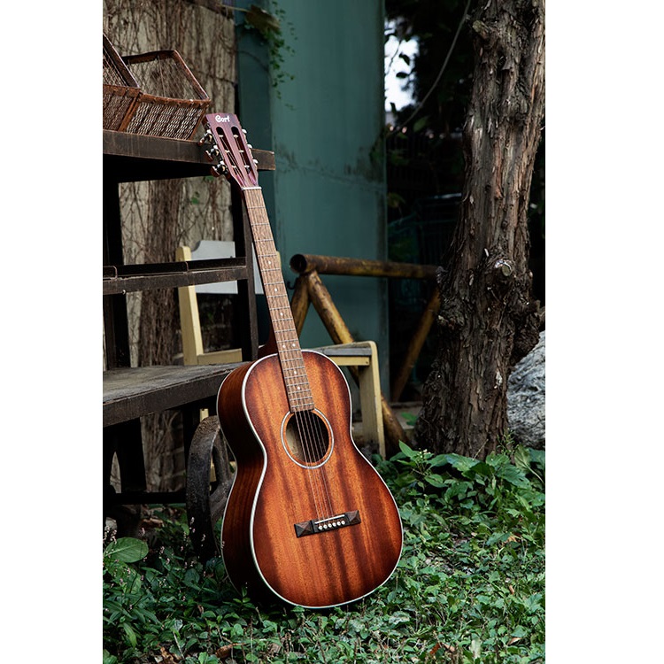 Cort AP550M OP Acoustic Guitar Online price in India