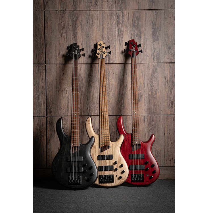 Cort Artisan Series B5 Element 5 String Bass Guitar Online price in India