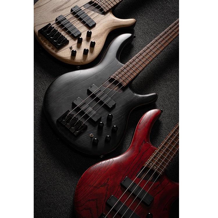 Cort Artisan Series B4 Element 4 String Bass Guitar
