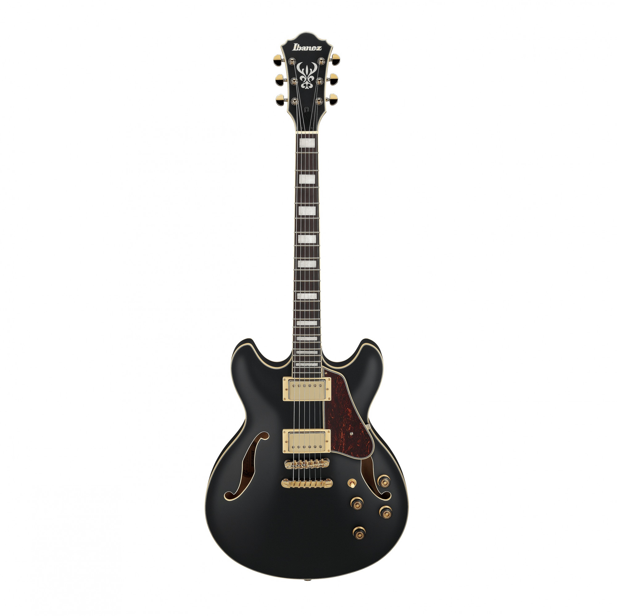 Ibanez AS73G Artcore Series Hollow Body Electric Guitar online in India at johnsmusicin at the lowest price Online price in India