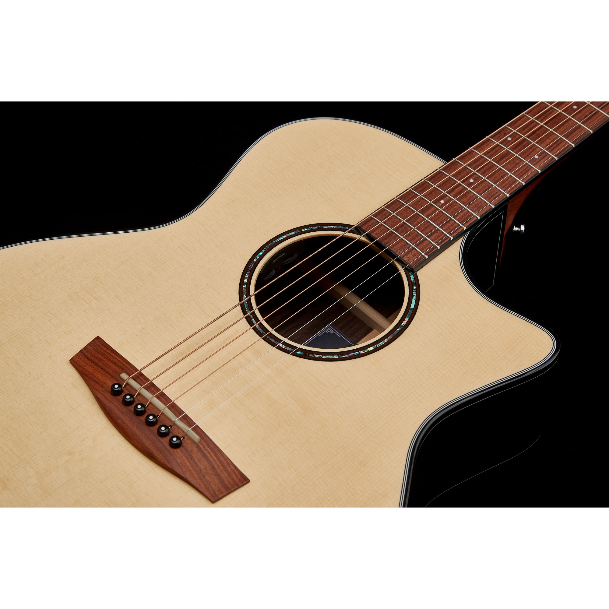 Hex GA450CEG -HORNET SERIES Electro Acoustic Guitar Online price in India