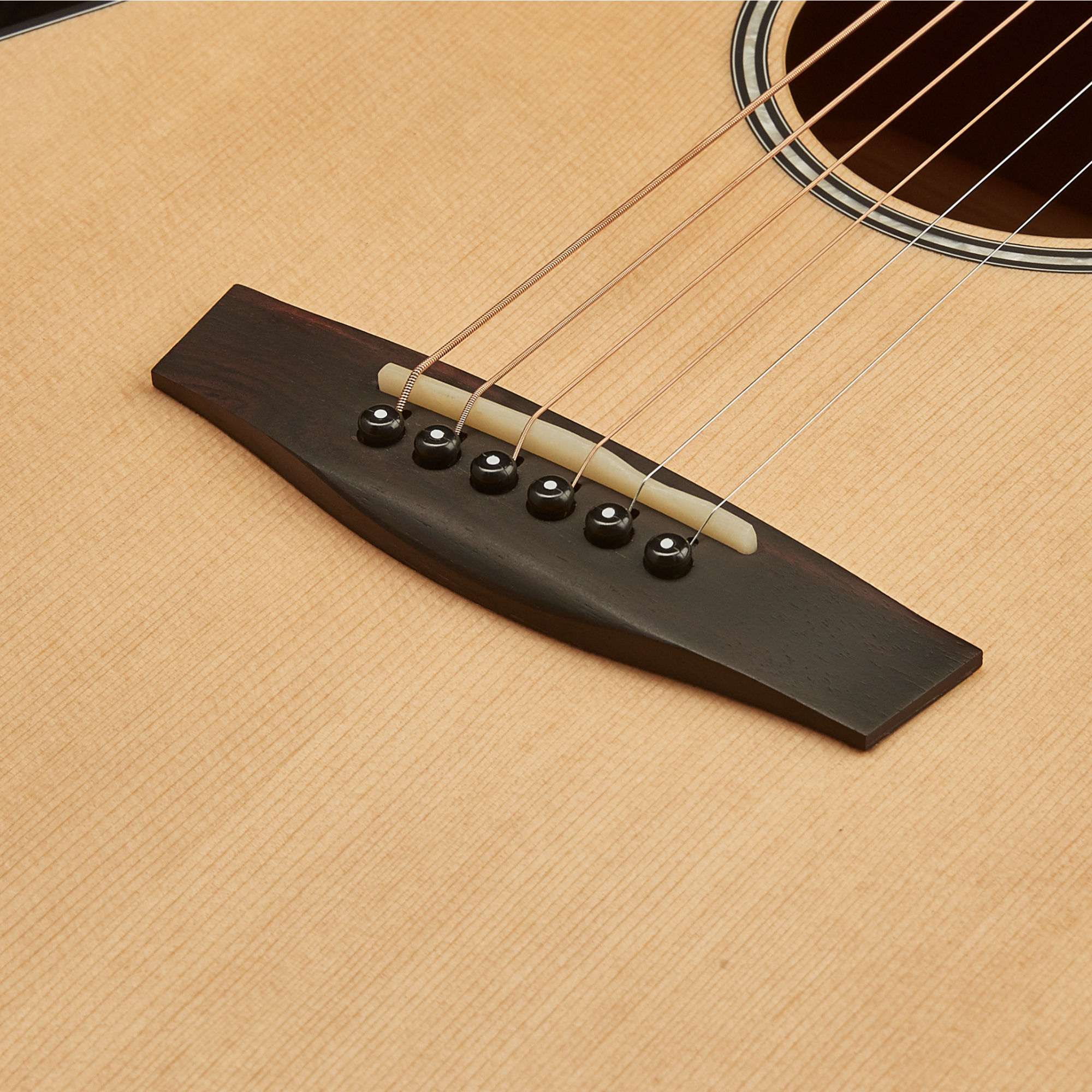 Hex GA100CEM -FISHMAN EQ HIVE series Electro Acoustic Guitar Online price in India