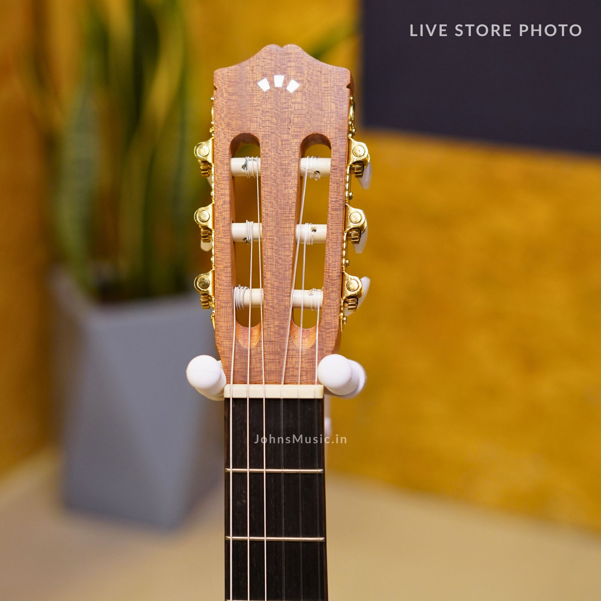 Cordoba C1M-CE Acoustic-Electric Cutaway Nylon String Classical Guitar Natural