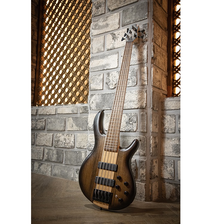 C5 Plus OVMH Bass Guitar Online price in India