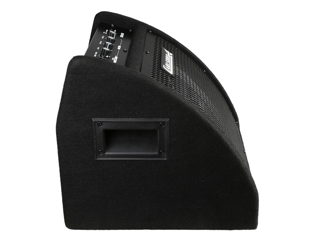 buy electronic drum amplifer 30 watts online in india