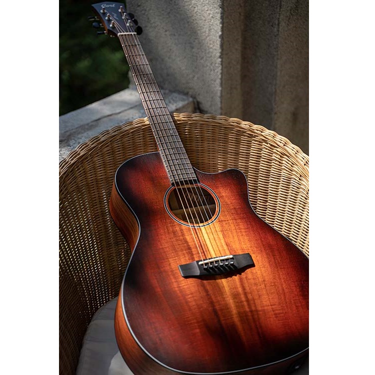 Cort Core Series Core GA Blackwood Electro Acoustic Guitar Online price in India