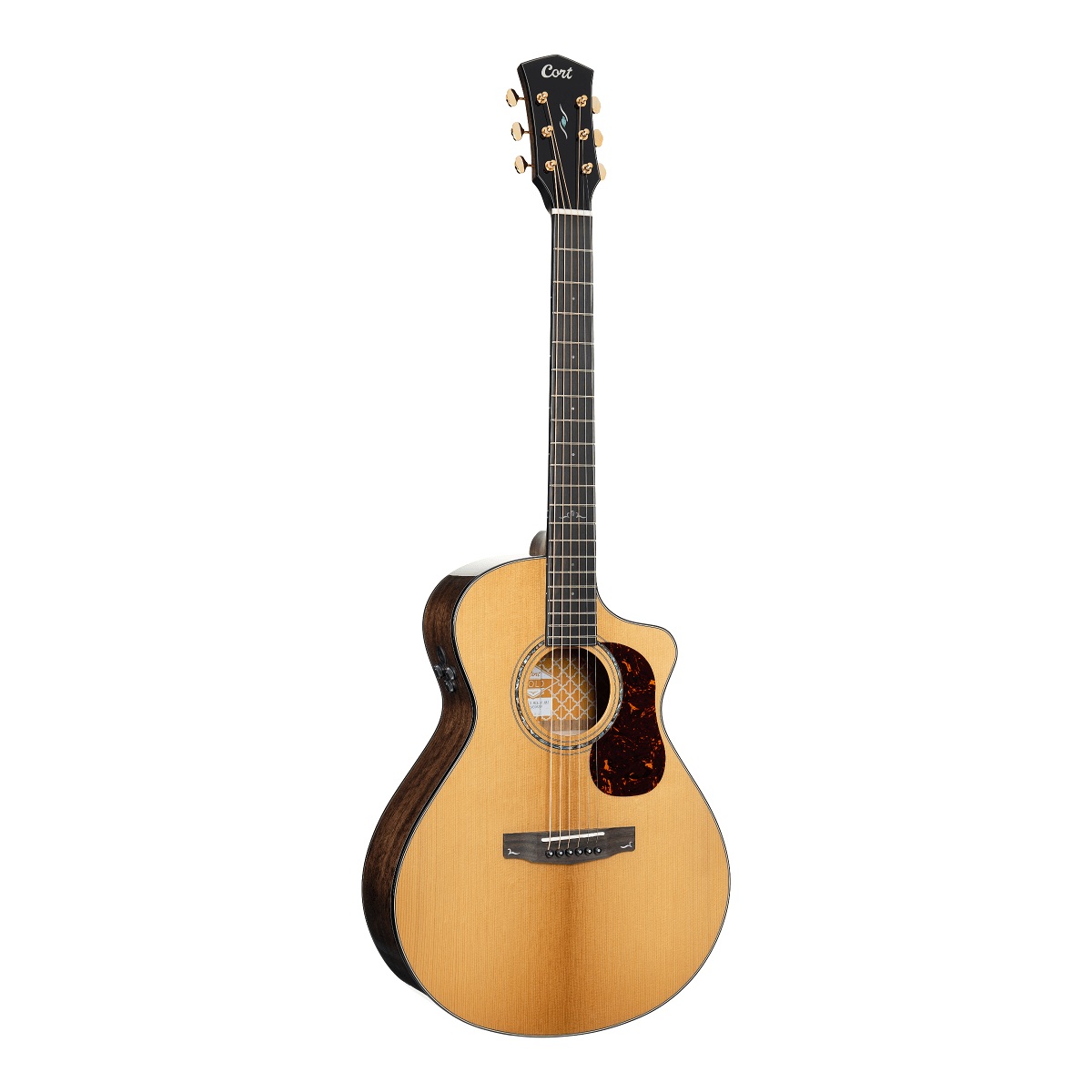 Cort Gold-MC6 Ovangkol Electro Acoustic Guitar online in India at johnsmusicin at the lowest price Online price in India