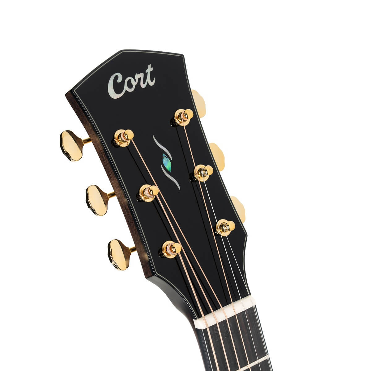 Cort Gold-MC6 Ovangkol Electro Acoustic Guitar online in India at johnsmusicin at the lowest price Online price in India
