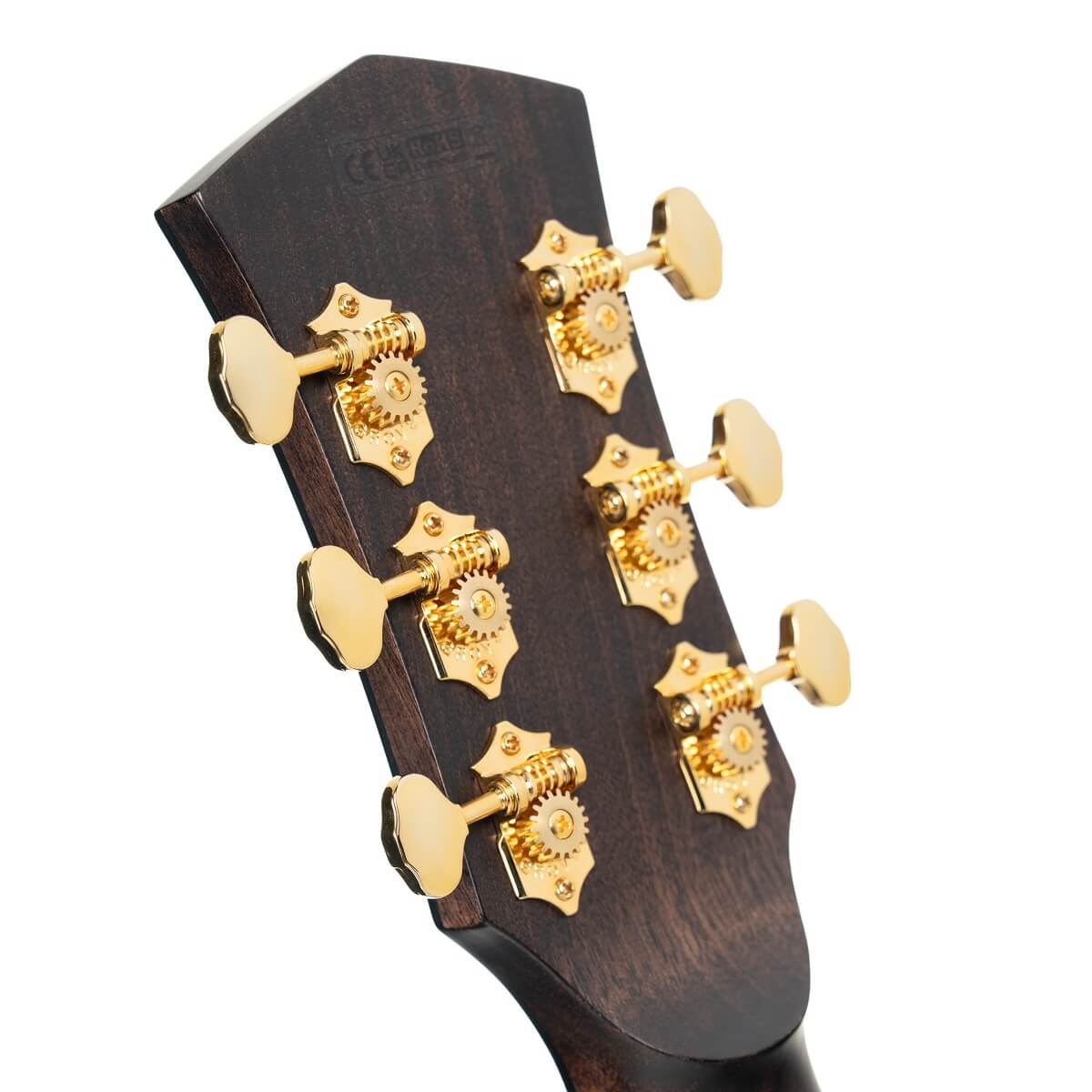 Cort Gold-MC6 Ovangkol Electro Acoustic Guitar online in India at johnsmusicin at the lowest price Online price in India