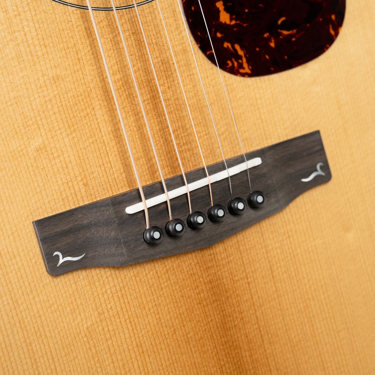 Cort Gold-MC6 Ovangkol Electro Acoustic Guitar