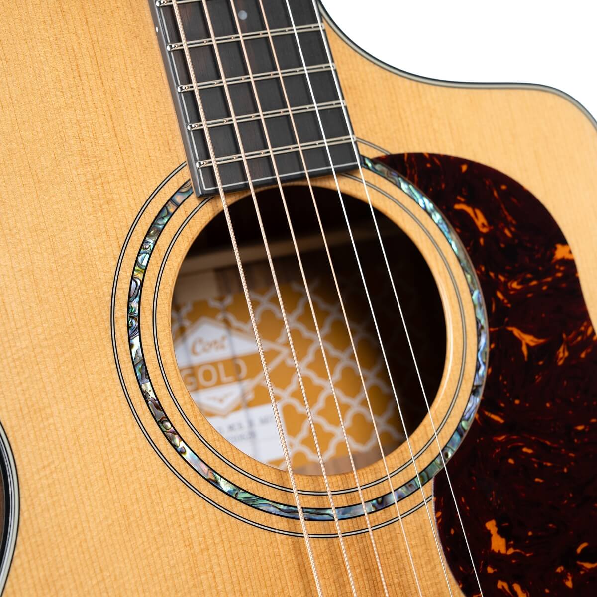 Cort Gold-MC6 Ovangkol Electro Acoustic Guitar online in India at johnsmusicin at the lowest price Online price in India