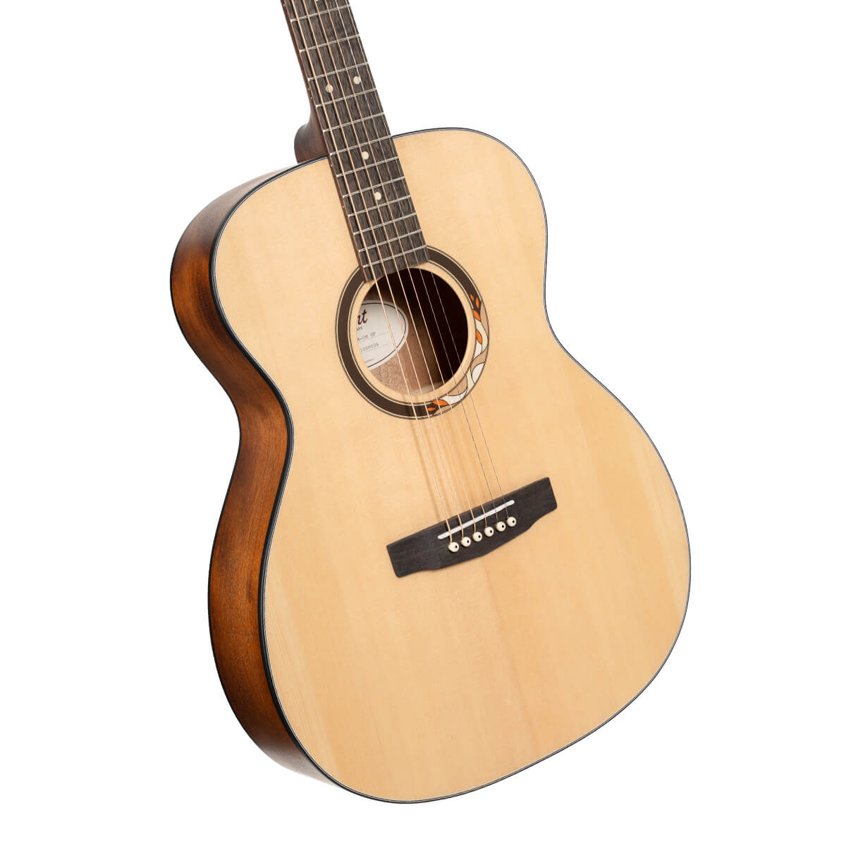 Cort Arium Acoustic Guitar online in India at johnsmusicin at the lowest price Online price in India