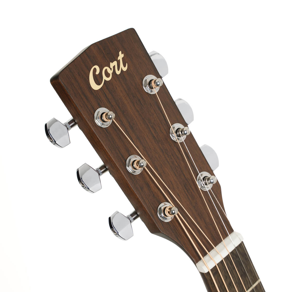 Cort Arium Acoustic Guitar online in India at johnsmusicin at the lowest price Online price in India