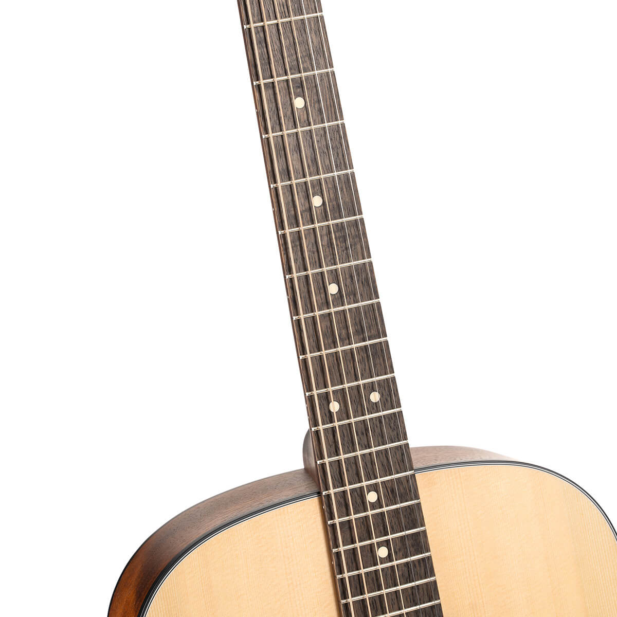 Cort Arium Acoustic Guitar online in India at johnsmusicin at the lowest price Online price in India