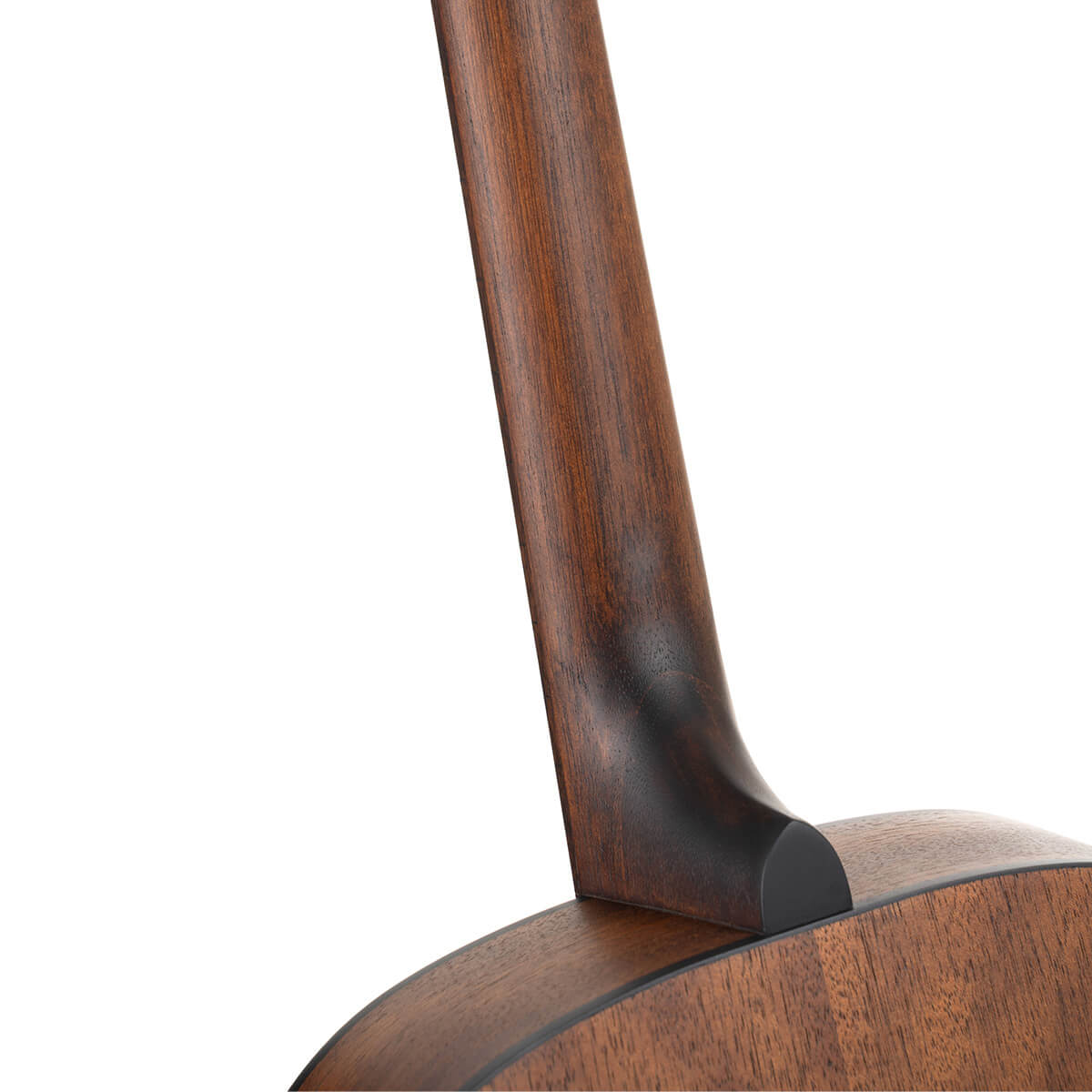 Cort Arium Acoustic Guitar online in India at johnsmusicin at the lowest price Online price in India