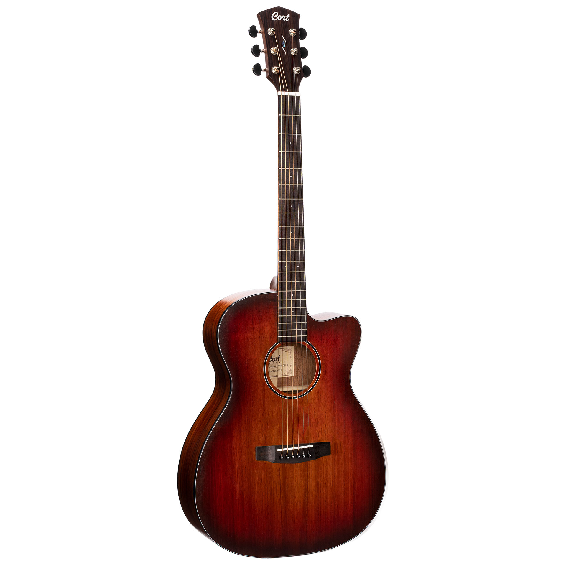 Cort Core-OC Blackwood Electro Acoustic Guitar
