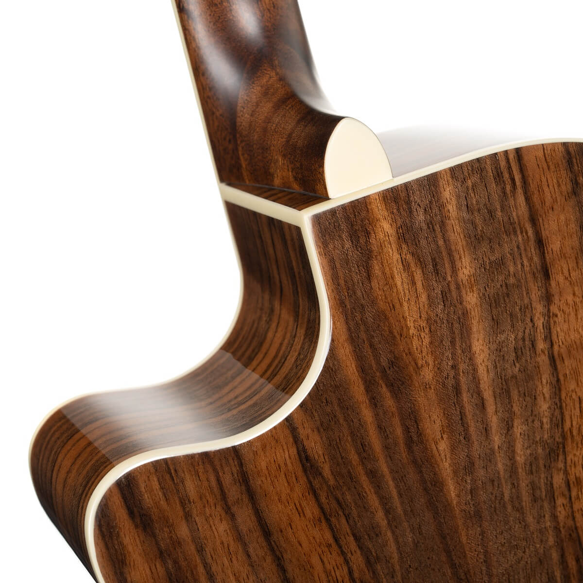 Cort Exotic-GA Walnut Electro Acoustic Guitar Sunburst online in India at johnsmusicin at the lowest price Online price in India
