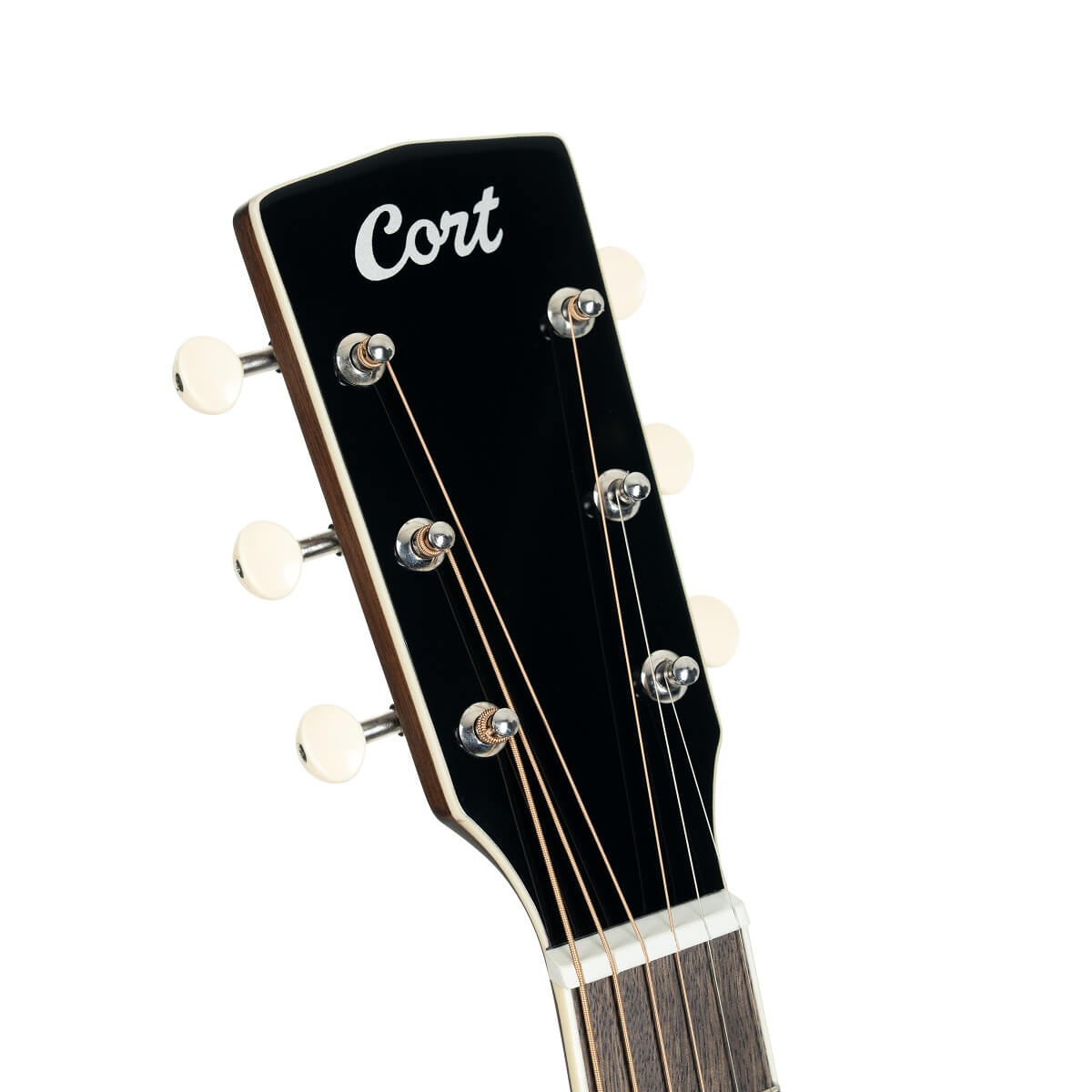 Cort Exotic-GA Walnut Electro Acoustic Guitar Sunburst online in India at johnsmusicin at the lowest price Online price in India