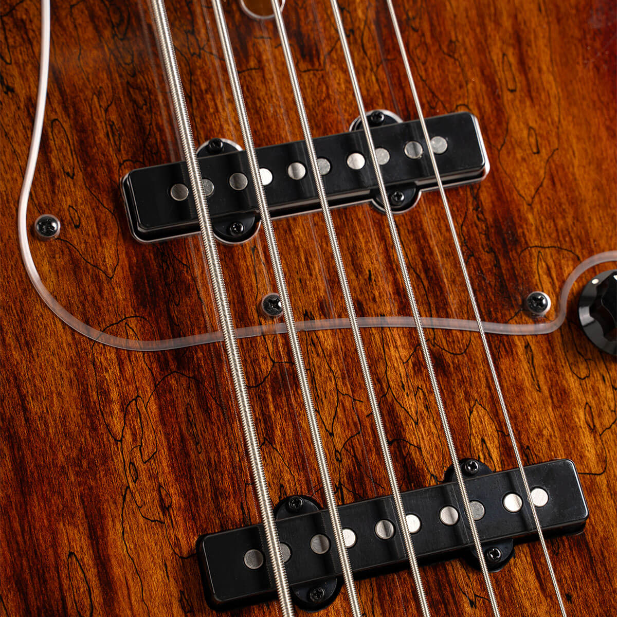 Cort GB Fusion 5 ABB Electric Bass Guitar