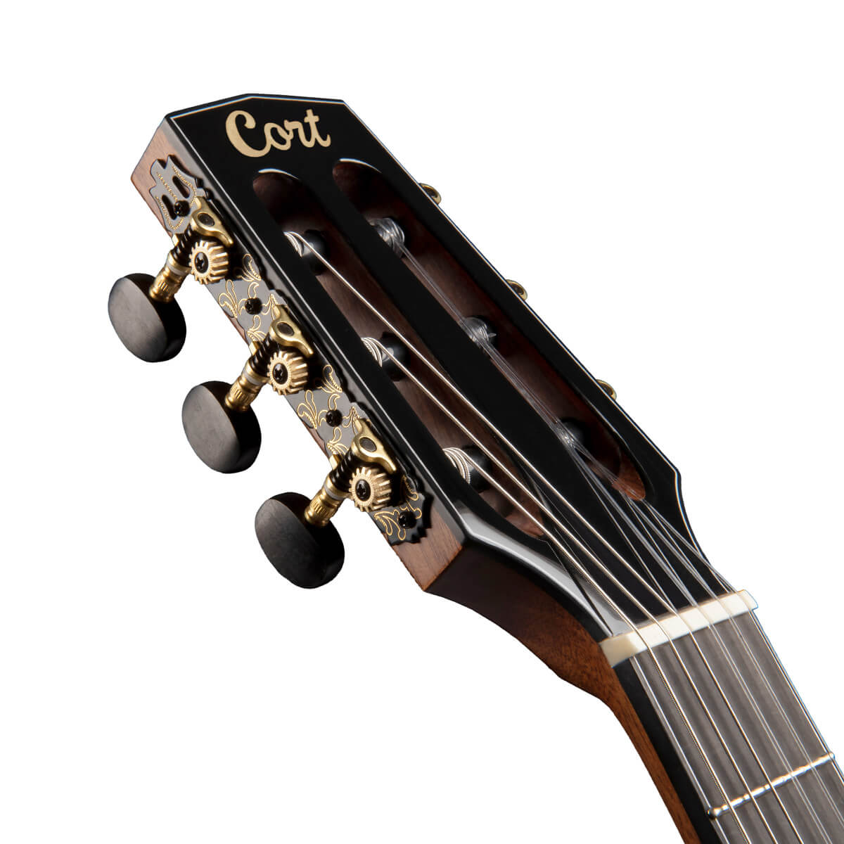 Cort Gold OC8 Nylon Classical Acoustic Guitar online in India at johnsmusicin at the lowest price Online price in India