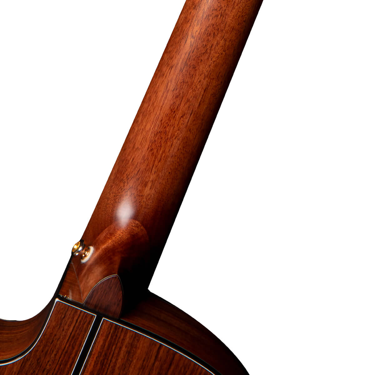 Cort Gold OC8 Nylon Classical Acoustic Guitar online in India at johnsmusicin at the lowest price Online price in India