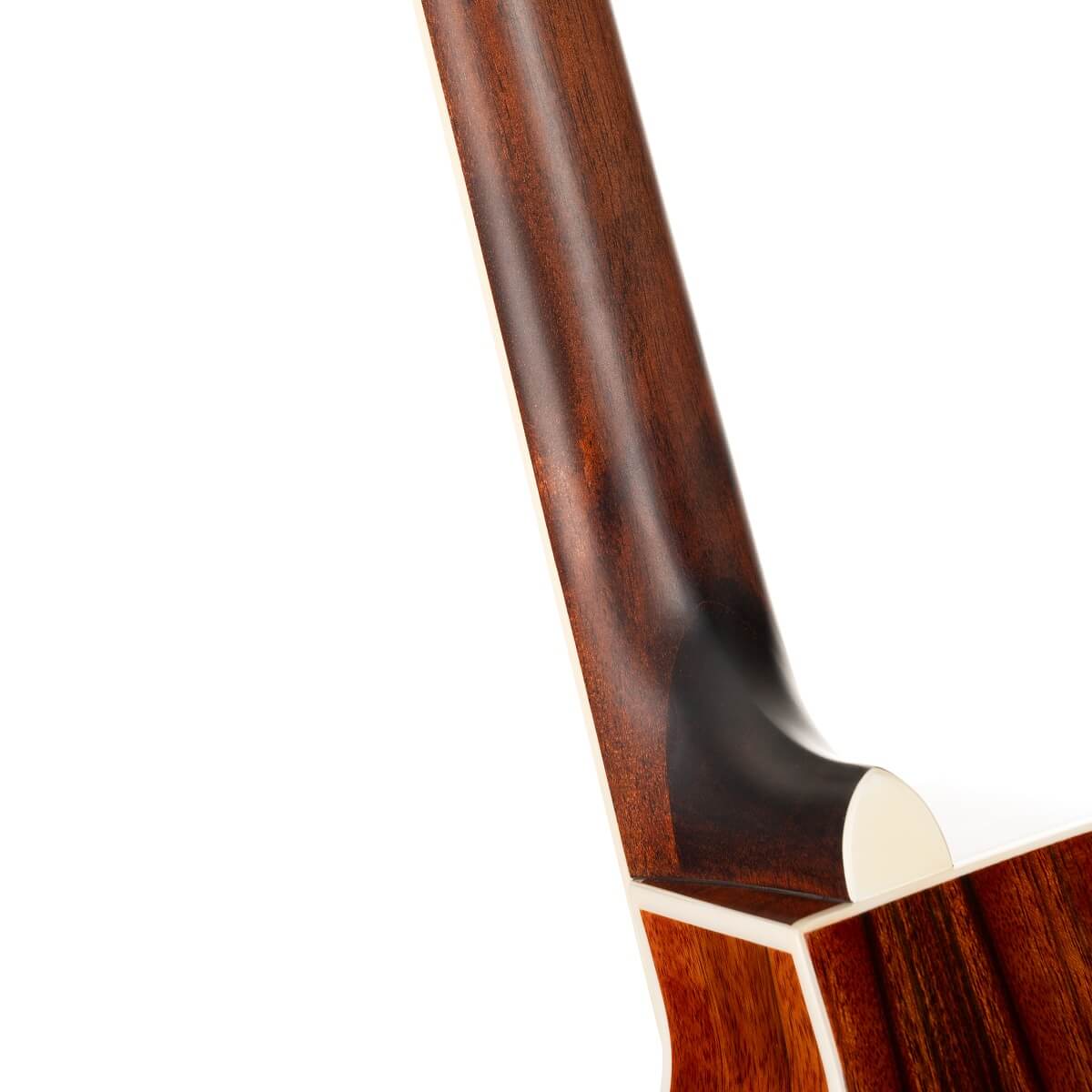 Cort Grand Regal GA-DAO Electro Acoustic Guitar online in India at johnsmusicin at the lowest price Online price in India