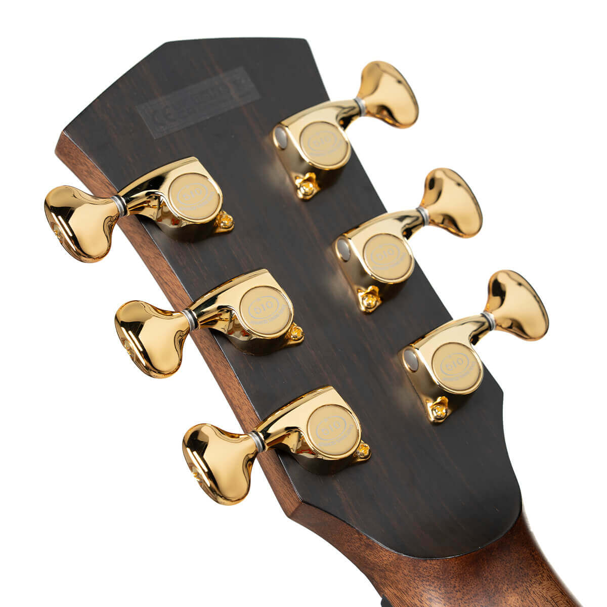 Cort Modern Masterpiece Series Electro Acoustic Guitar online in India at johnsmusicin at the lowest price Online price in India