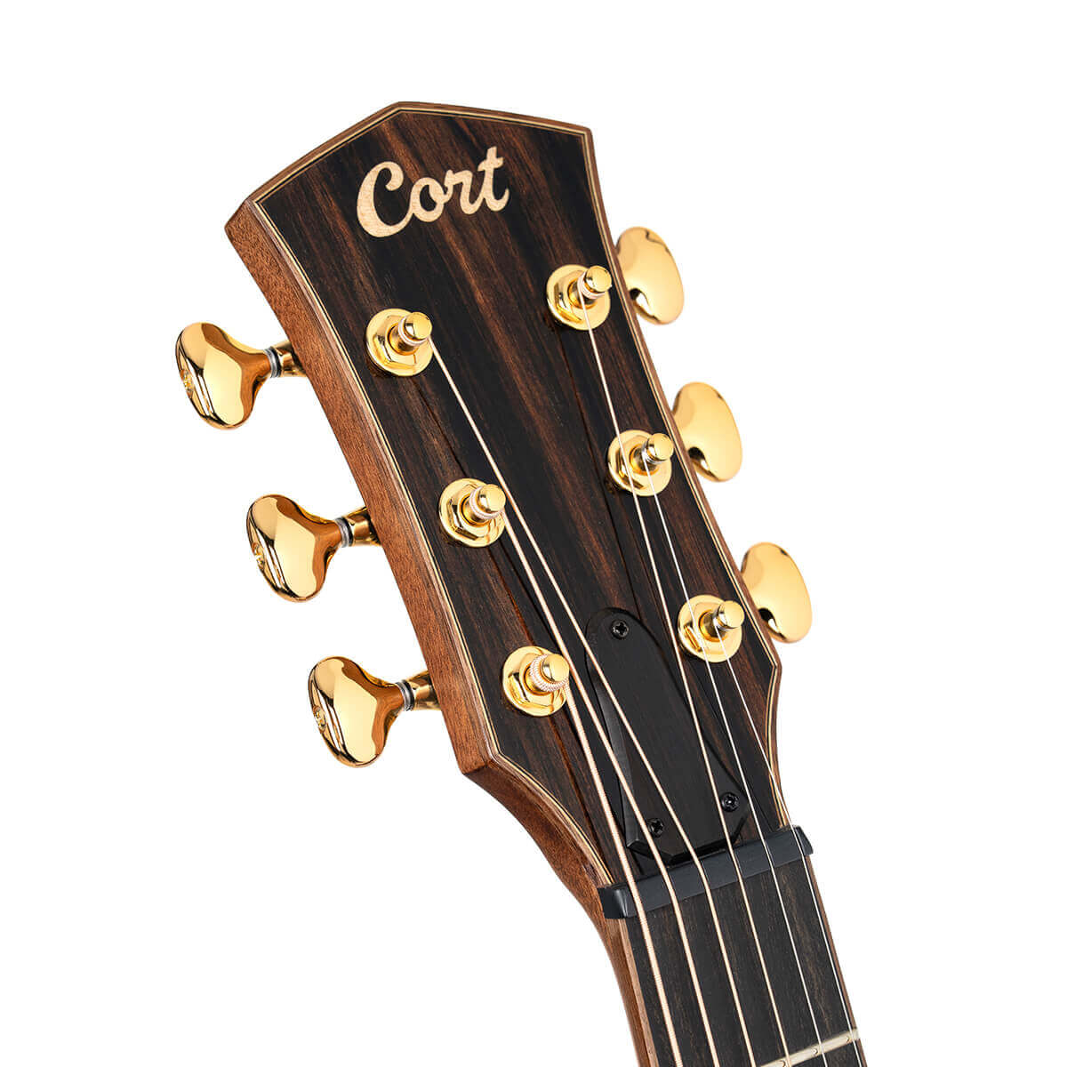 Cort Modern Masterpiece Series Electro Acoustic Guitar online in India at johnsmusicin at the lowest price Online price in India