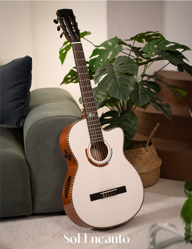 Cort Sol Encanto 6 String Semi Acoustic Guitar with Case online in India at johnsmusicin at the lowest price