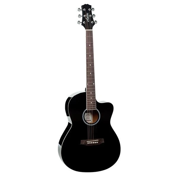 Buy Ashton D10c Acoustic Guitar online in india