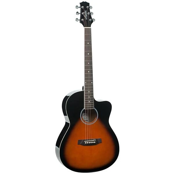 Buy Ashton D10c Acoustic Guitar online in india