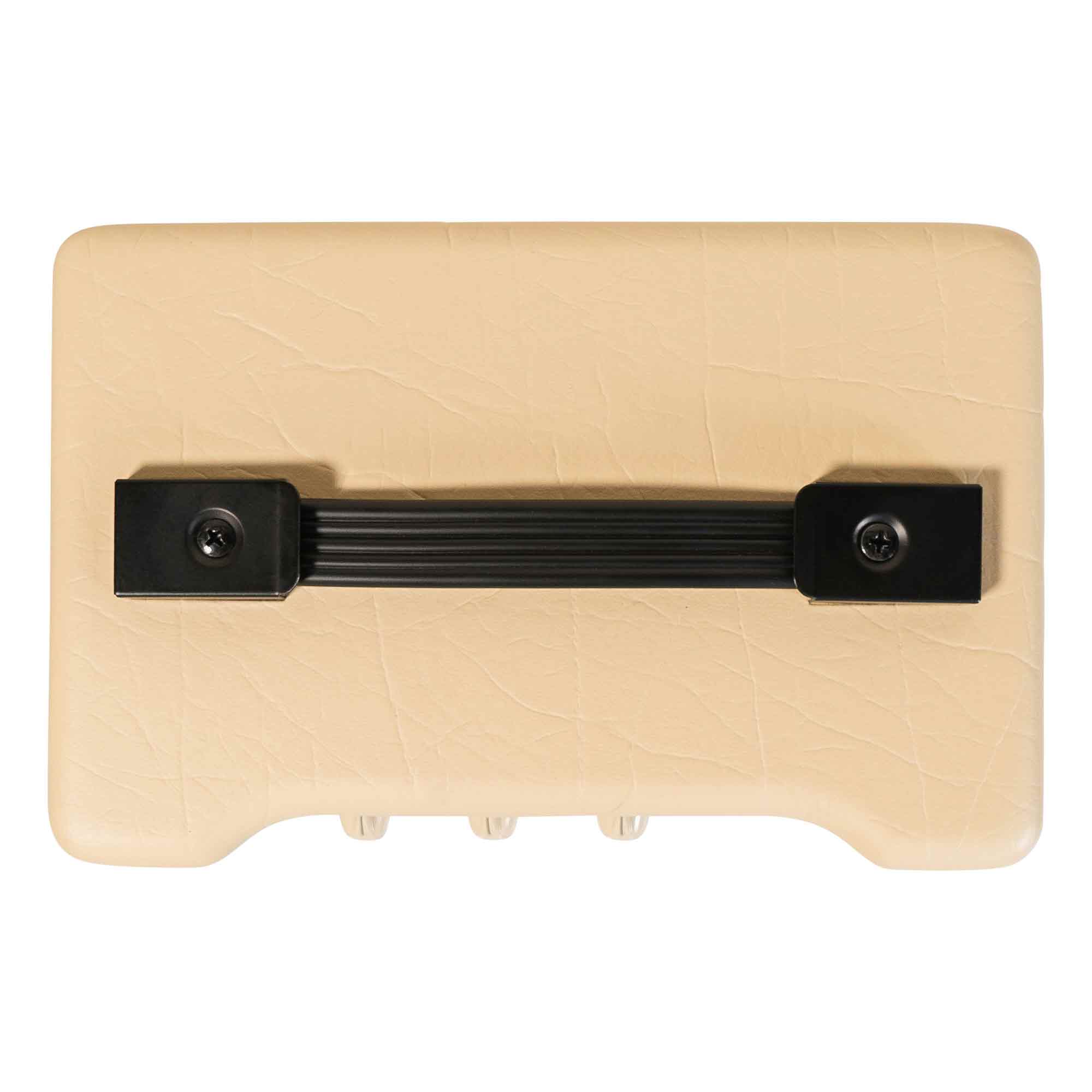 Blackstar Debut 10E 10-Watts Guitar Amplifier