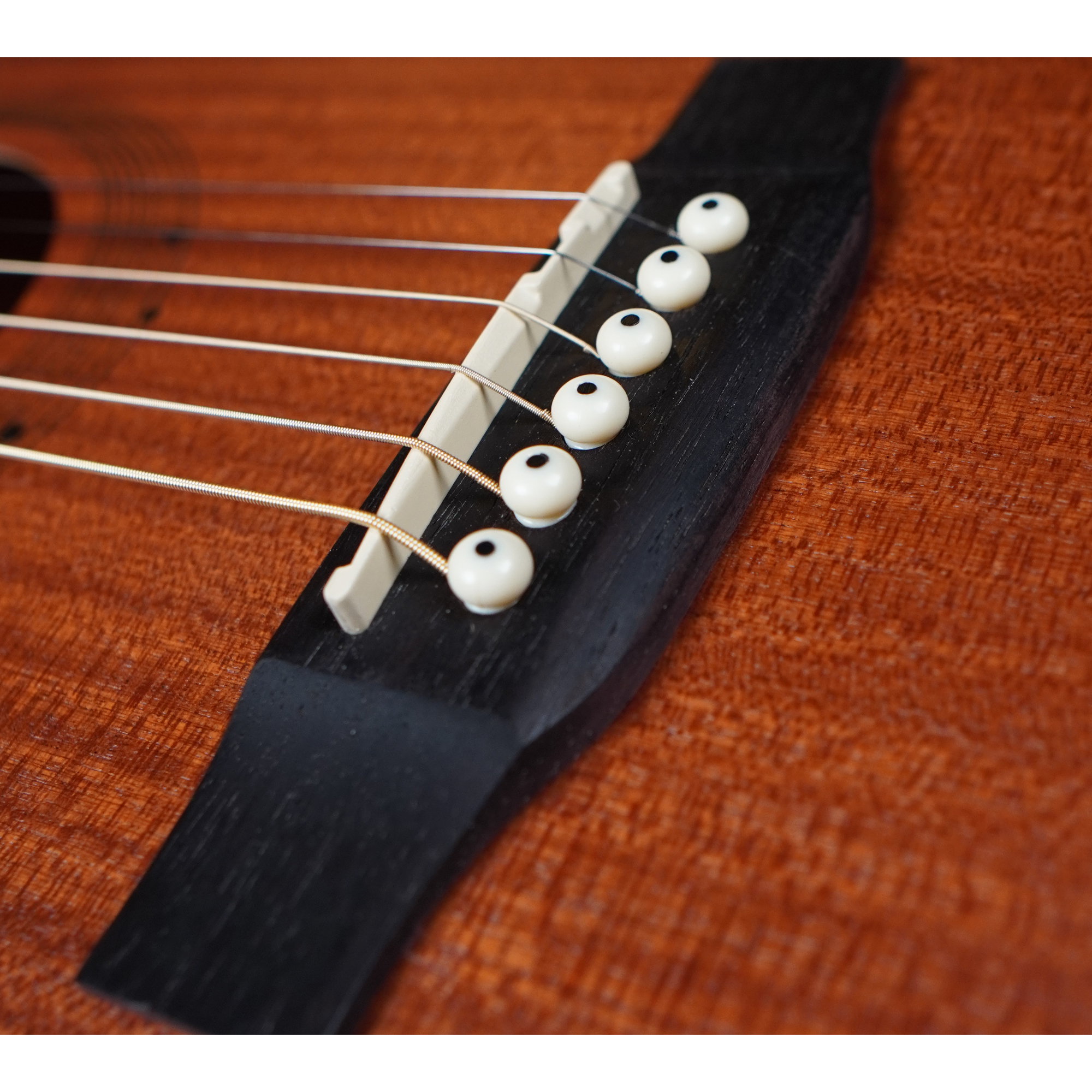 Strydom ST340C All Sapele Acoustic guitar - Natural Online price in India