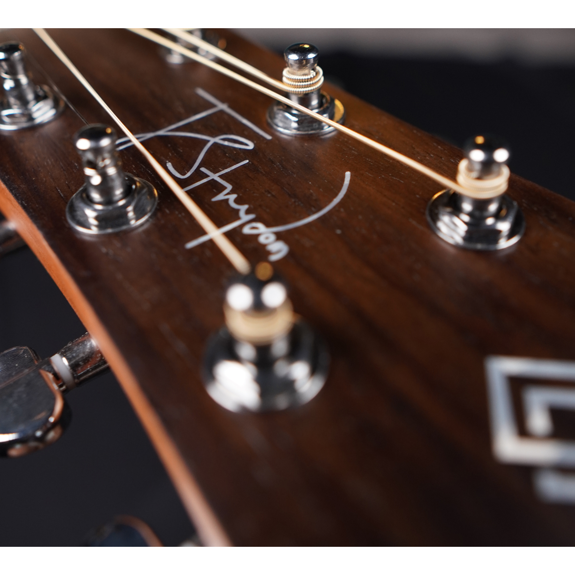 Strydom ST340C All Sapele Acoustic guitar - Natural Online price in India