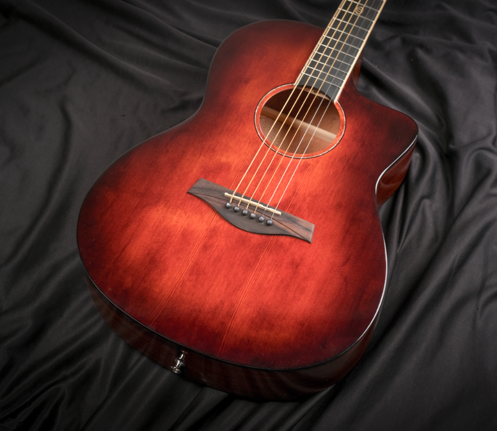 Strydom best beginner guitar online price in india