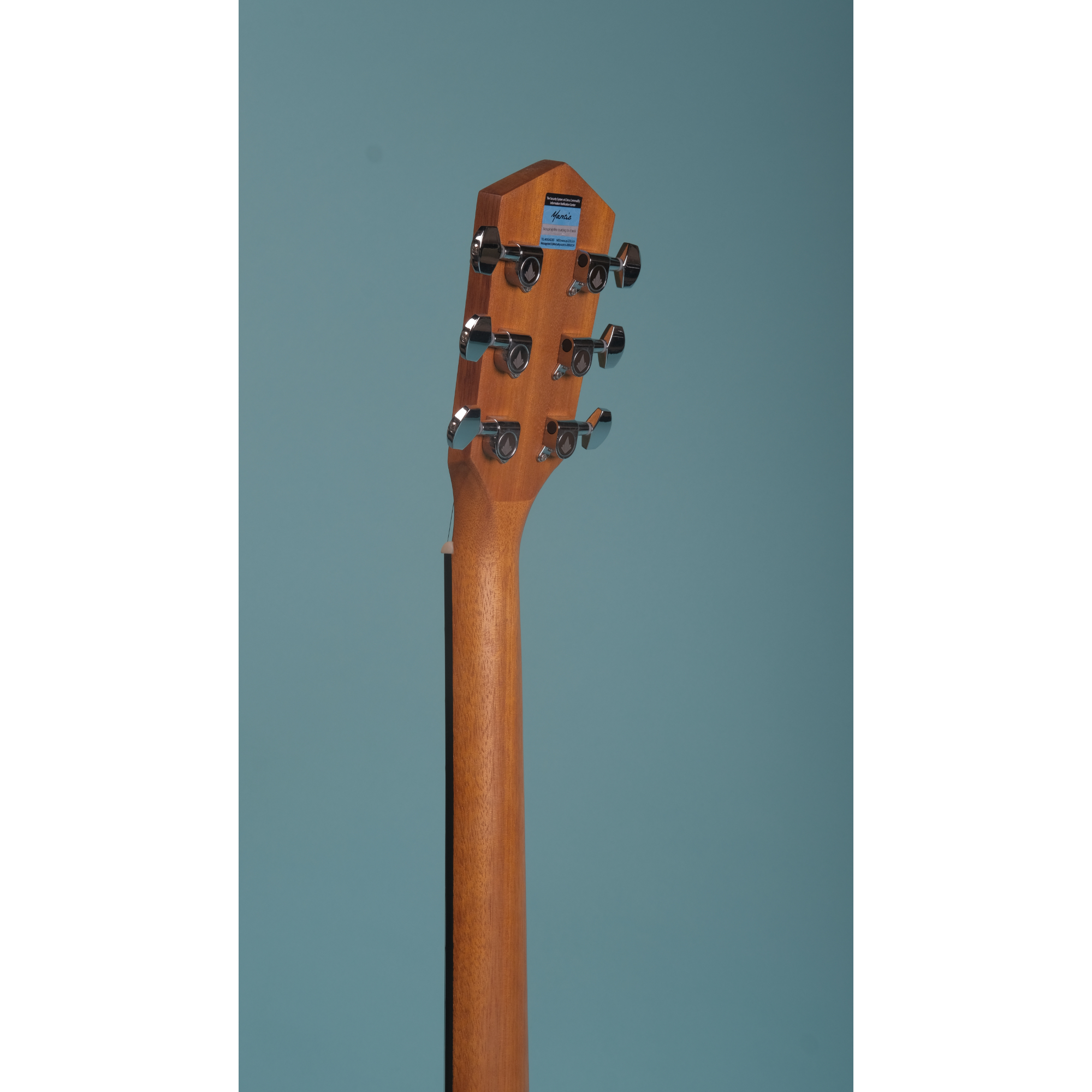 Mantic GT10AC -E Solid Top Semi- Acoustic Guitar with Fishman Electronics